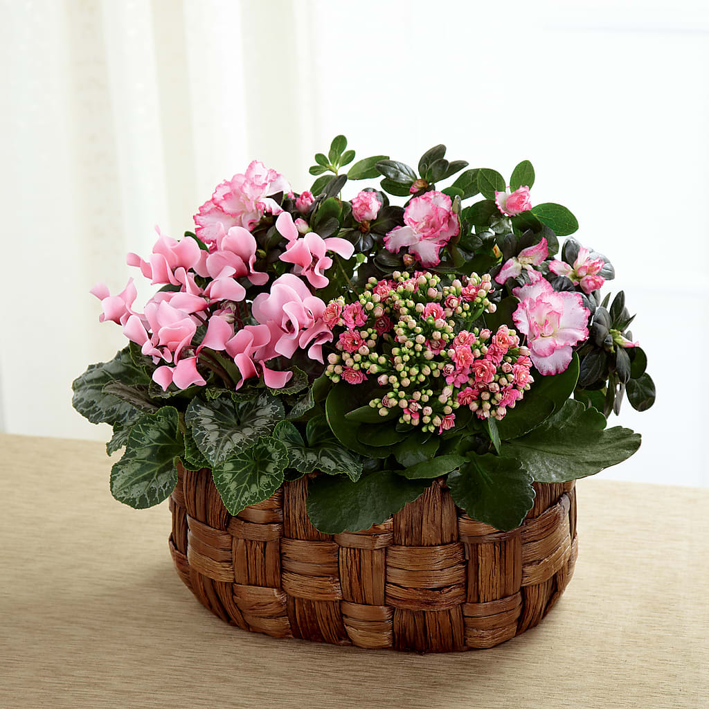 Pink Assortment – MAISON DES FLEUR BLOSSOME, Laval PQ