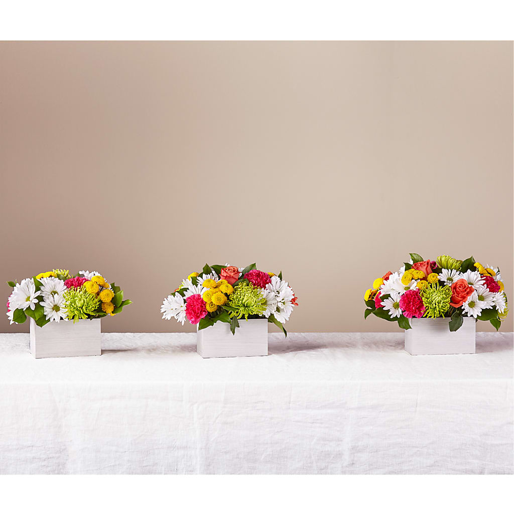 Sorbet Bouquet – Maison Des Fleurs Blossome Inc, Lachine PQ