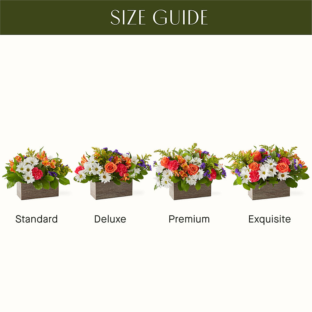 Oopsie Daisy Box Bouquet – Maison Des Fleurs Blossome Inc, Lachine PQ