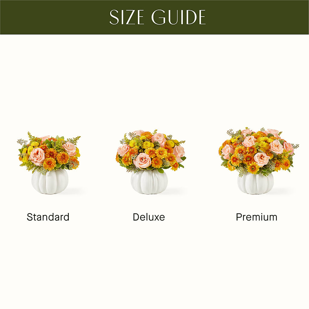 Peachy Pumpkin – Maison Des Fleurs Blossome Inc, Lachine PQ