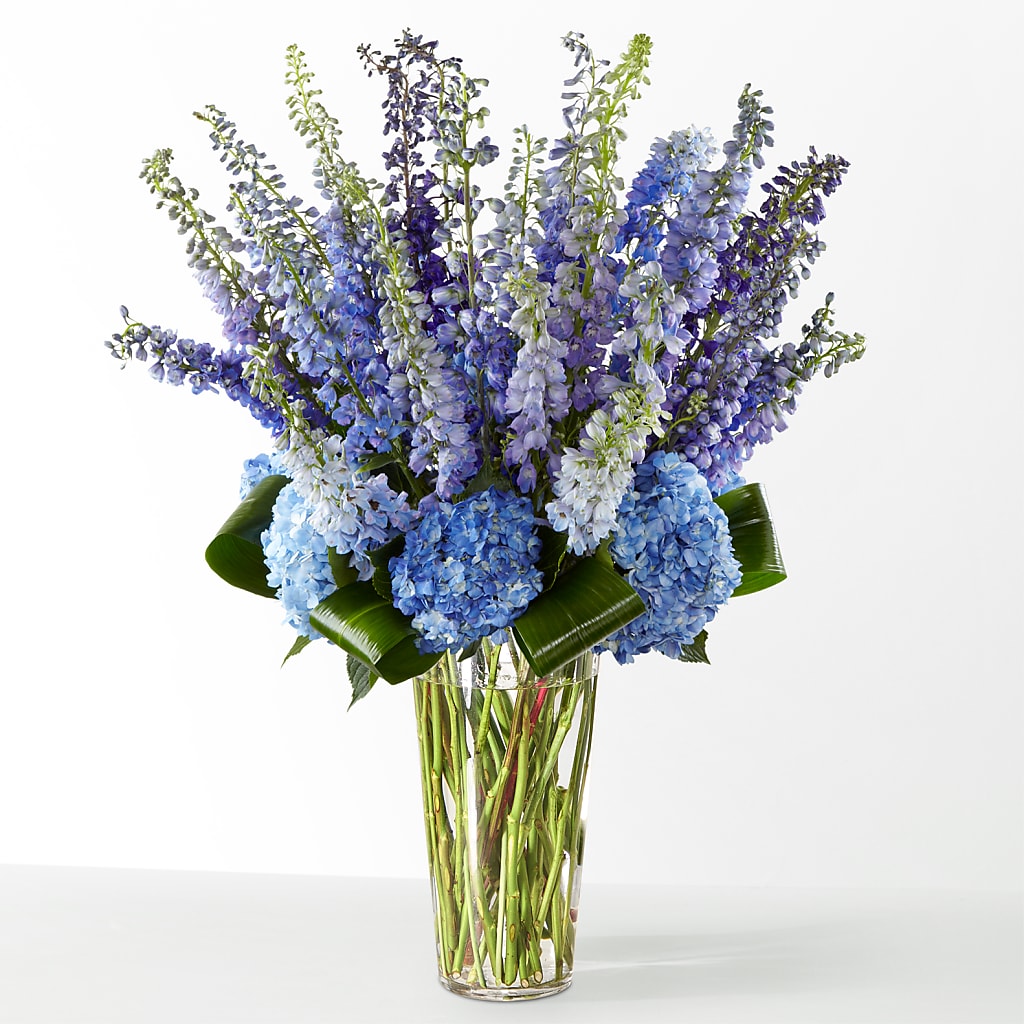 The Editorial – MAISON DES FLEUR BLOSSOME, Lachine PQ