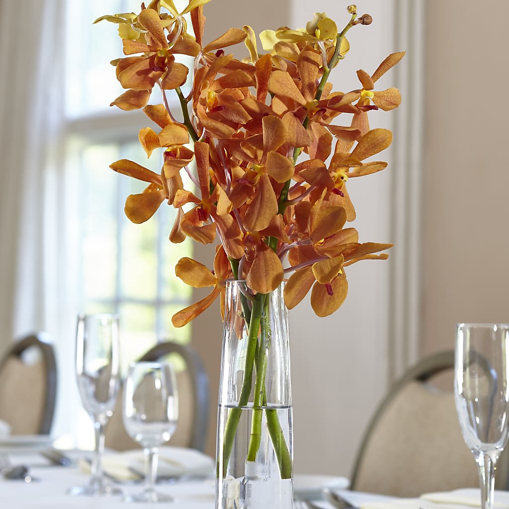 Orange Mokara Bud Vase – MAISON DES FLEUR BLOSSOME, Laval PQ