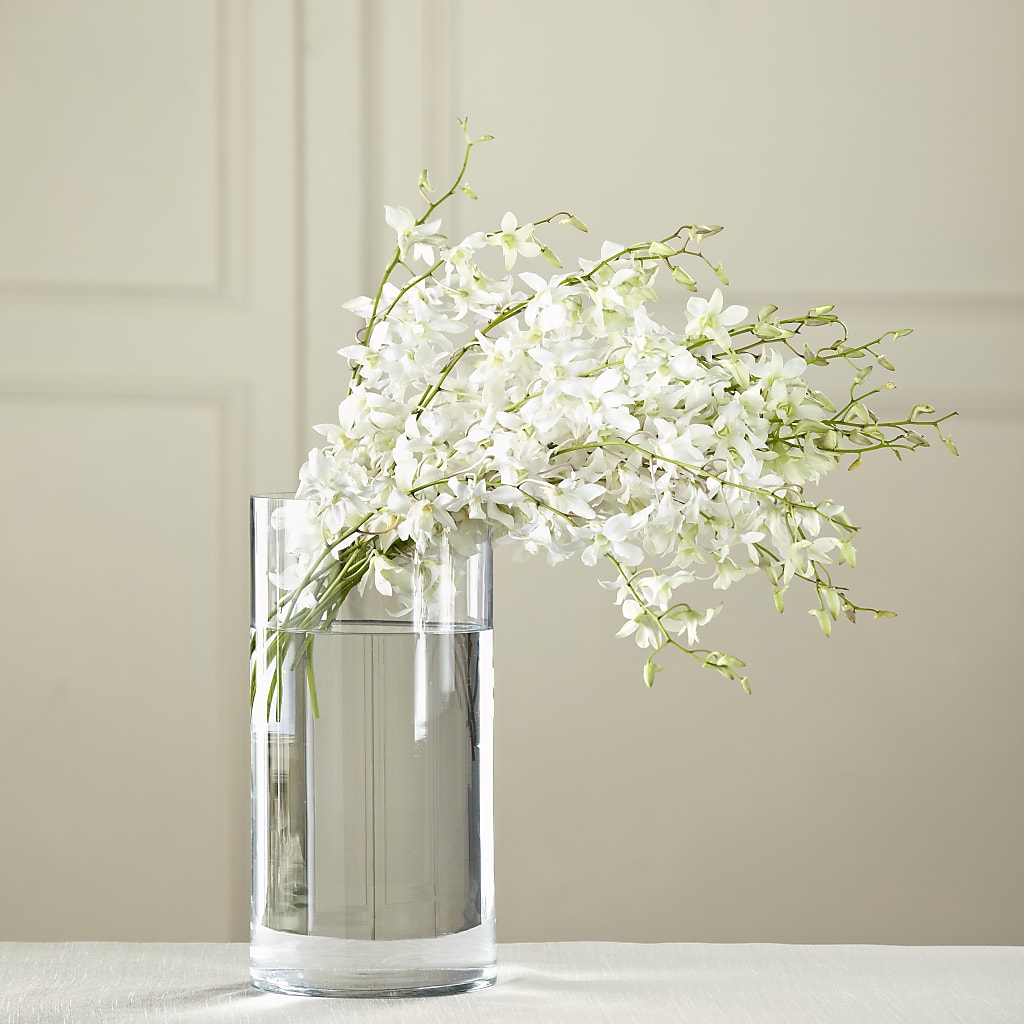 White Dendrobium Bouquet – MAISON DES FLEUR BLOSSOME, Laval PQ