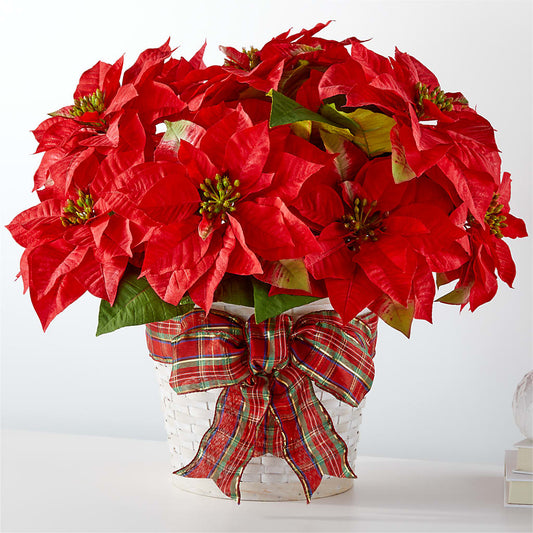 Happiest Holidays Poinsettia –  Maison Des Fleur Blossome, Laval PQ