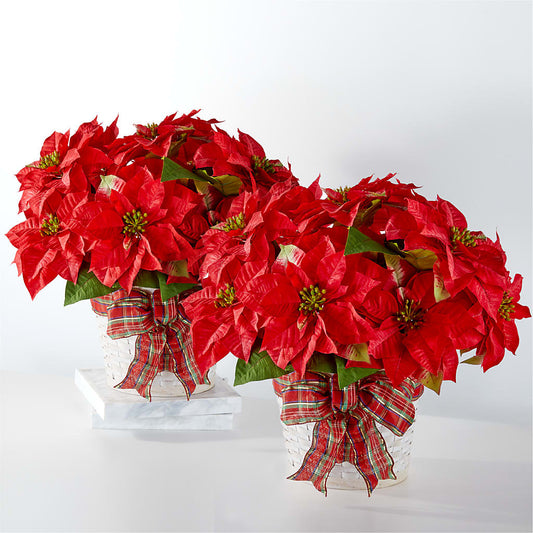 Happiest Holidays Poinsettia Bundle –  Maison Des Fleur Blossome, Laval PQ