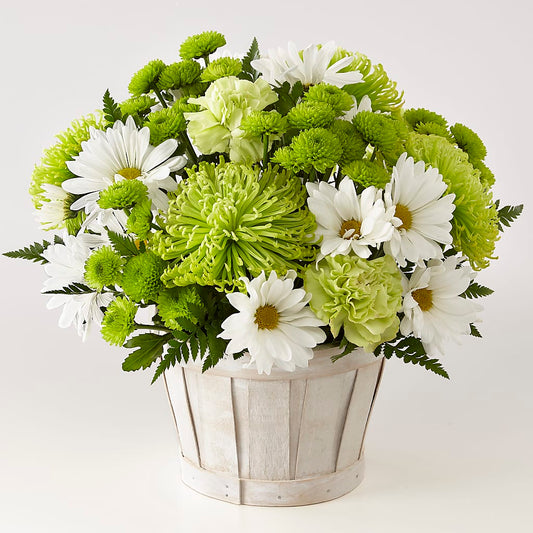 Lucky Charm Basket (Standard) –  Maison Des Fleur Blossome, Laval PQ