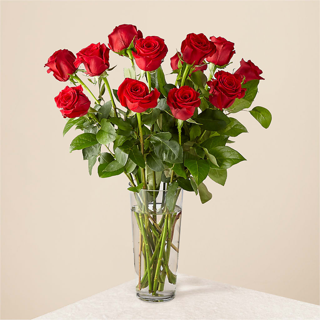 Long Stem Red Rose Bouquet –  Maison Des Fleurs Blossome Inc, Lachine PQ