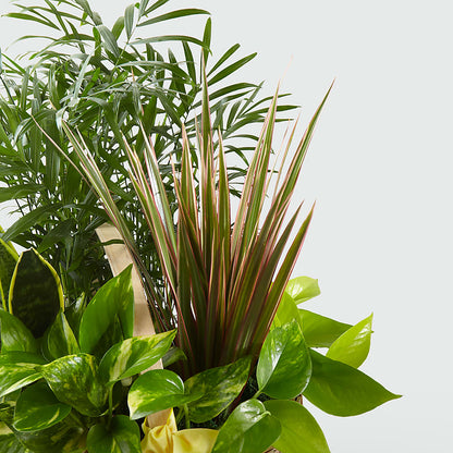 French Garden –  Maison Des Fleurs Blossome Inc, Lachine PQ