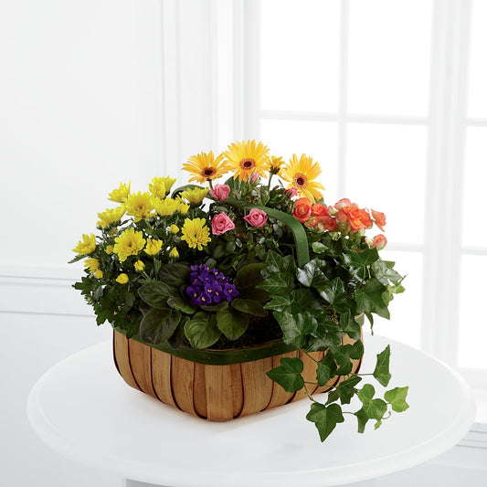 Gentle Blossoms Basket –  Maison Des Fleur Blossome, Laval PQ