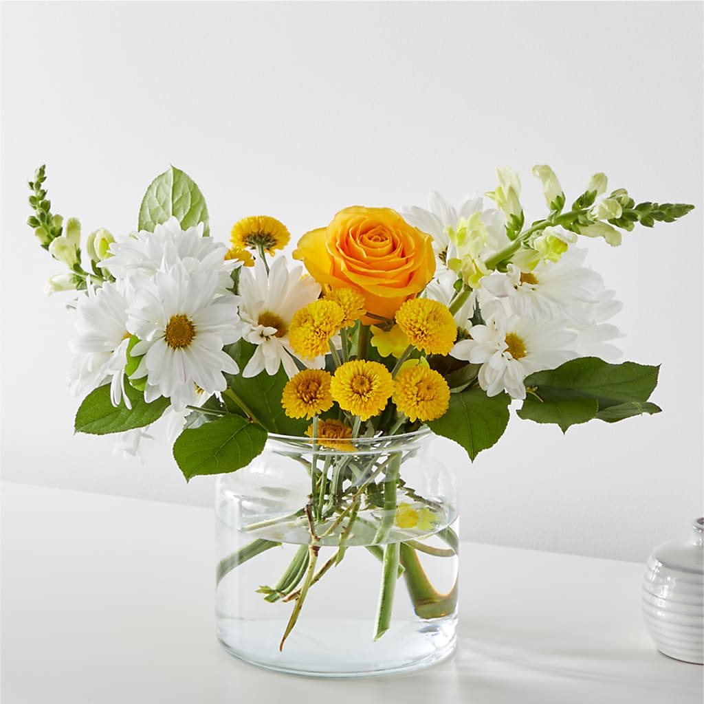 Sun Salutation Bouquet – MAISON DES FLEUR BLOSSOME, Laval PQ