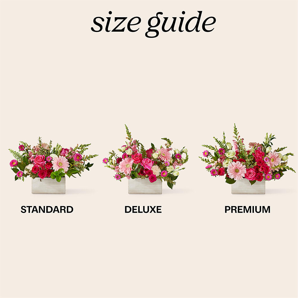 Too Cute Bouquet –  Maison Des Fleurs Blossome Inc, Lachine PQ