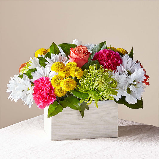 Sorbet Bouquet –  Maison Des Fleur Blossome, Laval PQ