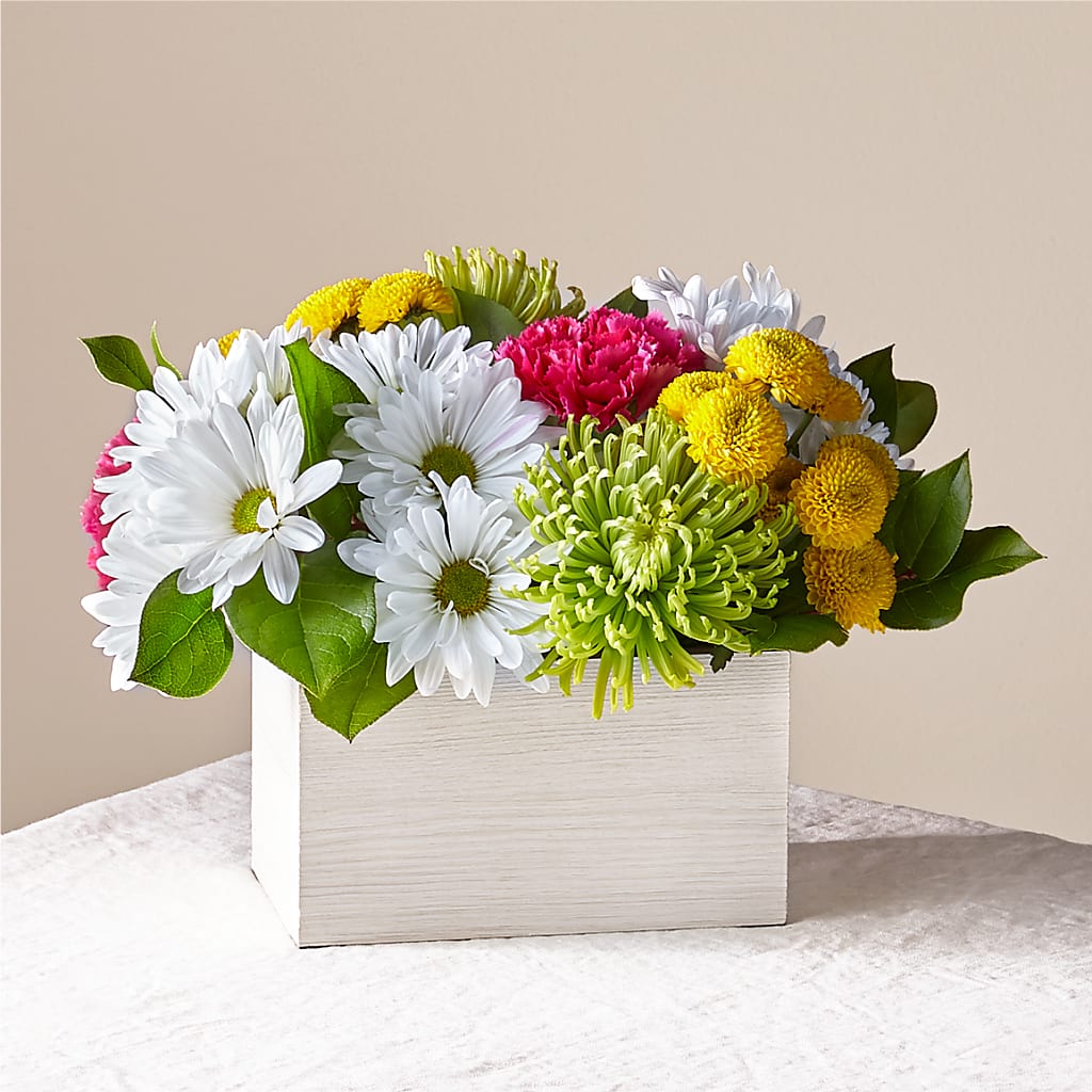 Sorbet Bouquet –  Maison Des Fleurs Blossome Inc, Lachine PQ