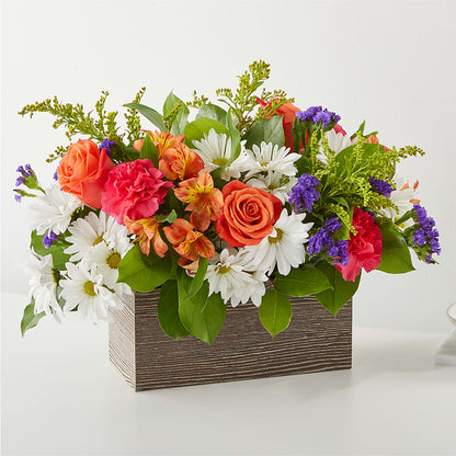 Oopsie Daisy Box Bouquet – MAISON DES FLEUR BLOSSOME, Laval PQ