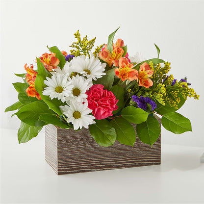 Oopsie Daisy Box Bouquet – MAISON DES FLEUR BLOSSOME, Laval PQ