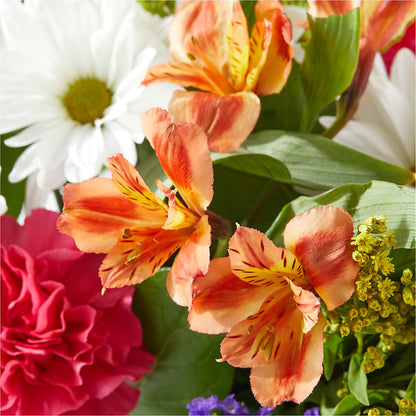 Oopsie Daisy Box Bouquet –  Maison Des Fleurs Blossome Inc, Lachine PQ