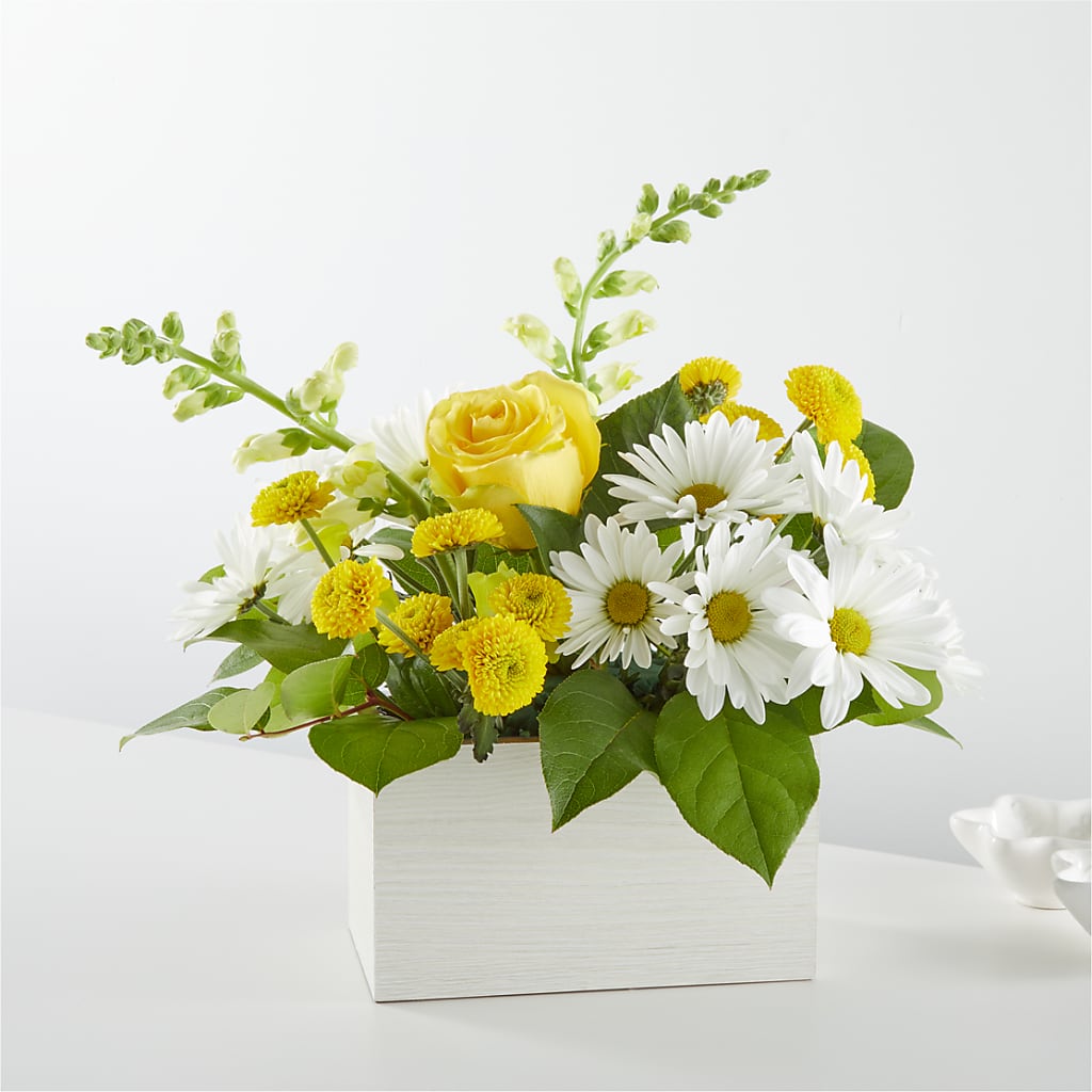 Sun Salutation Box Bouquet – MAISON DES FLEUR BLOSSOME, Laval PQ