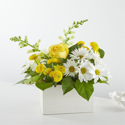 Sun Salutation Box Bouquet – MAISON DES FLEUR BLOSSOME, Laval PQ
