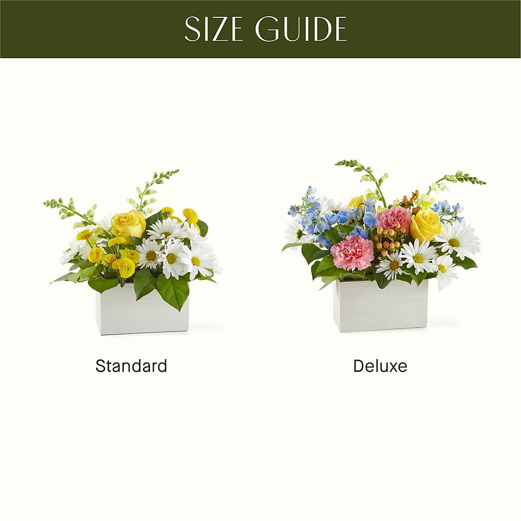 Sun Salutation Box Bouquet –  Maison Des Fleurs Blossome Inc, Lachine PQ