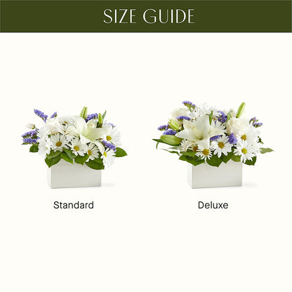 Beyond Blue Box Bouquet –  Maison Des Fleurs Blossome Inc, Lachine PQ