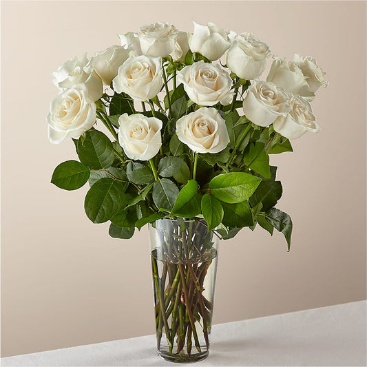 Long Stem White Rose Bouquet –  Maison Des Fleur Blossome, Laval PQ