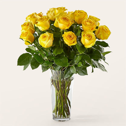 Long Stem Yellow Rose Bouquet –  Maison Des Fleur Blossome, Laval PQ