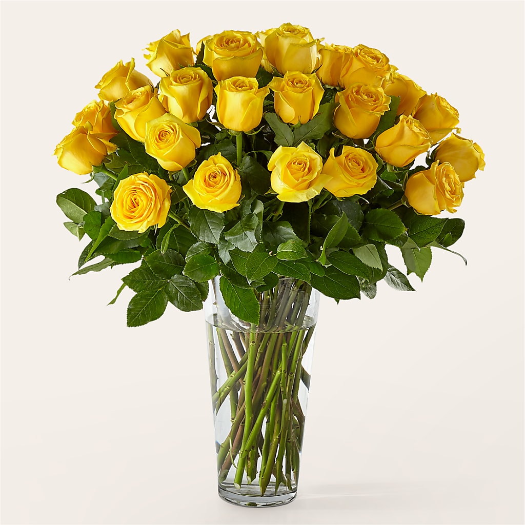 Long Stem Yellow Rose Bouquet –  Maison Des Fleur Blossome, Laval PQ