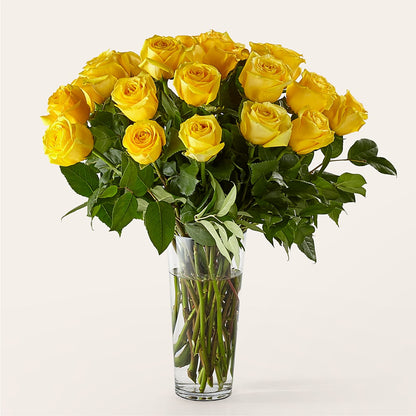 Long Stem Yellow Rose Bouquet –  Maison Des Fleur Blossome, Laval PQ