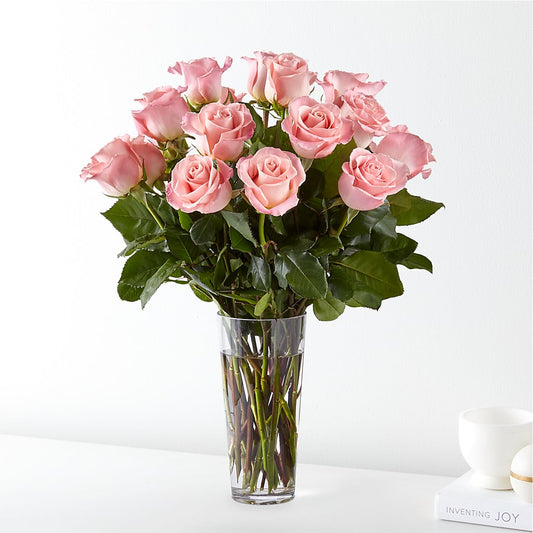 Long Stem Pink Rose Bouquet –  Maison Des Fleur Blossome, Laval PQ