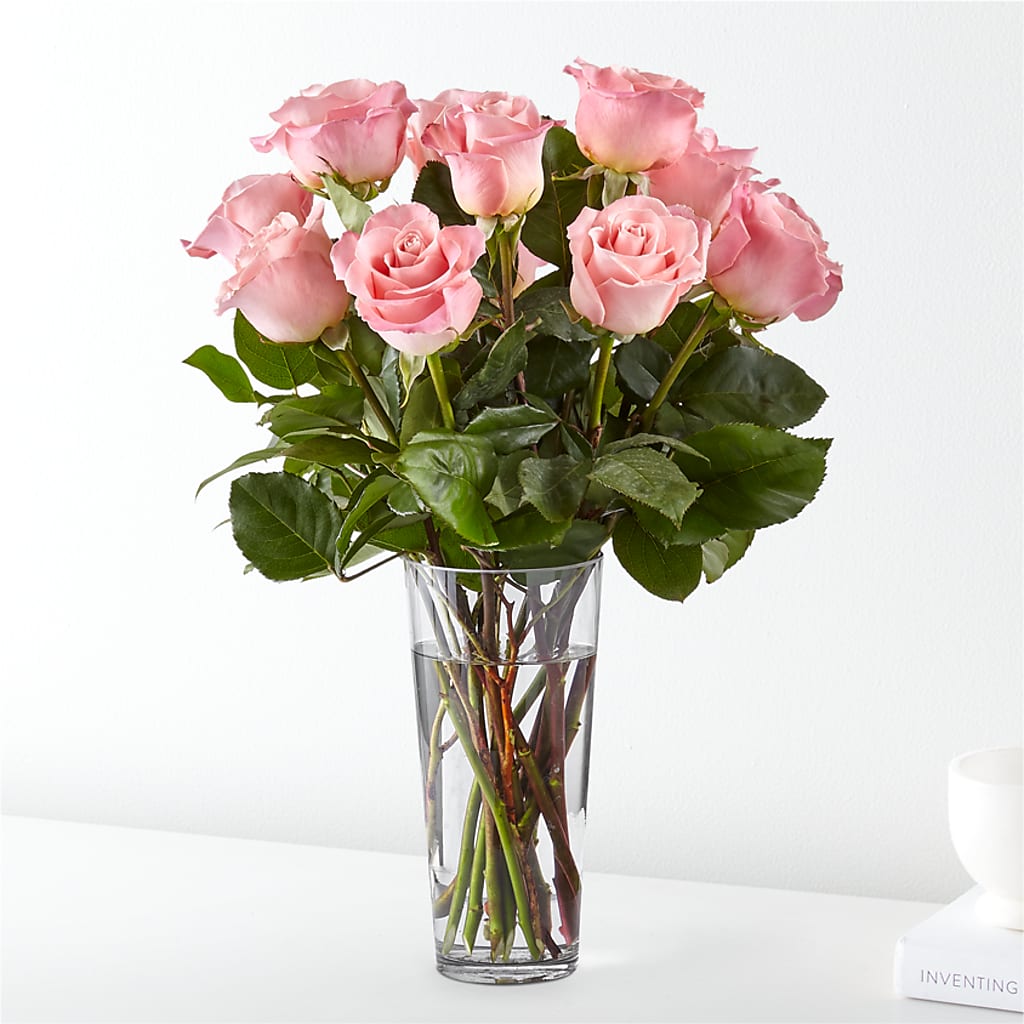 Long Stem Pink Rose Bouquet –  Maison Des Fleurs Blossome Inc, Lachine PQ