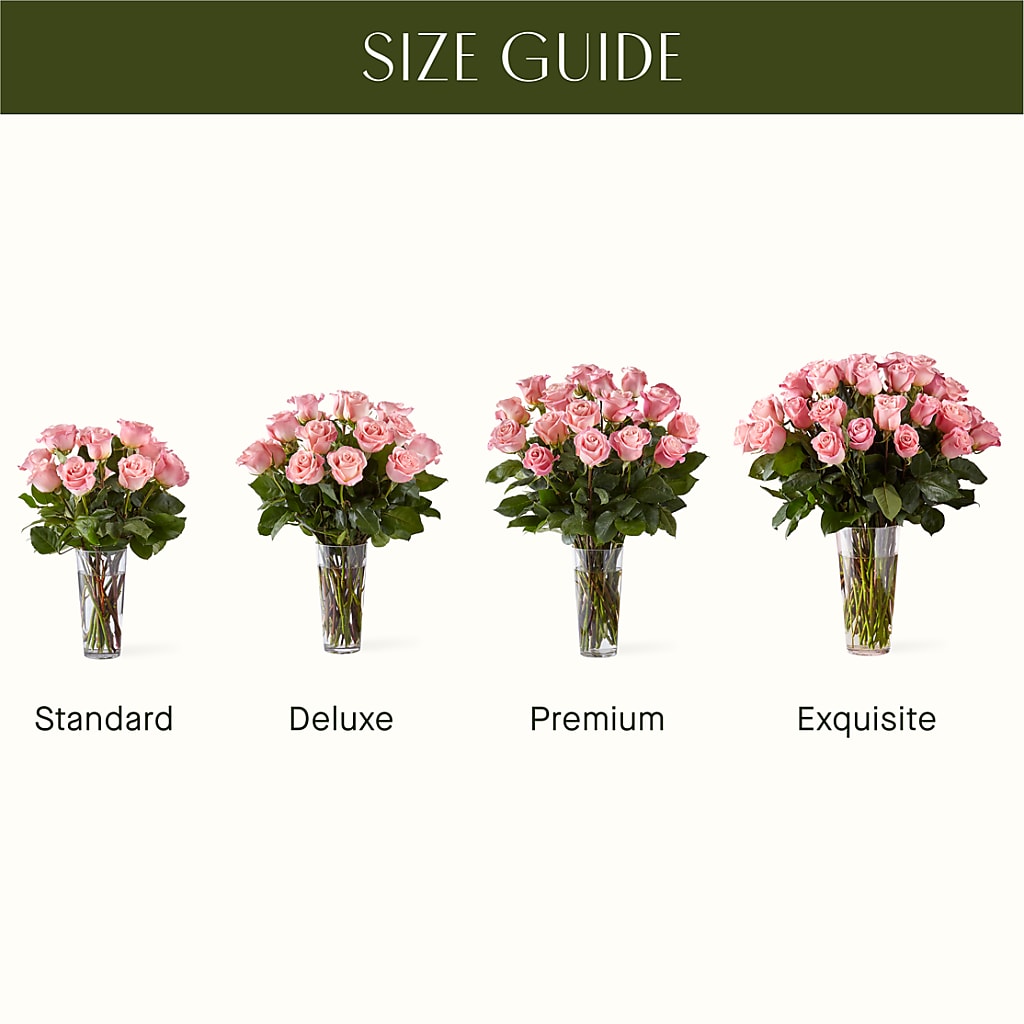 Long Stem Pink Rose Bouquet –  Maison Des Fleurs Blossome Inc, Lachine PQ