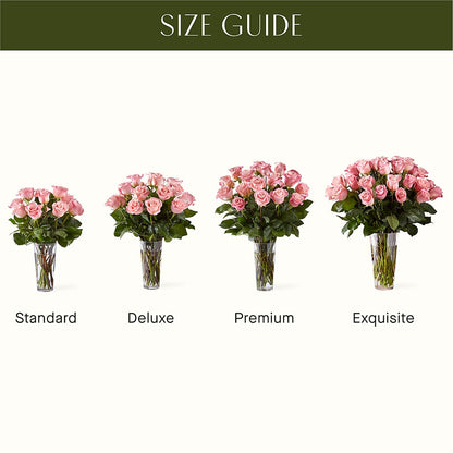Long Stem Pink Rose Bouquet –  Maison Des Fleurs Blossome Inc, Lachine PQ