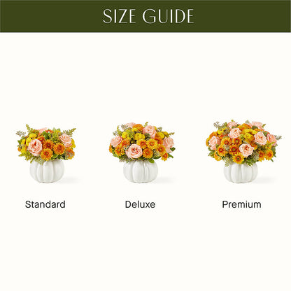 Peachy Pumpkin –  Maison Des Fleurs Blossome Inc, Lachine PQ