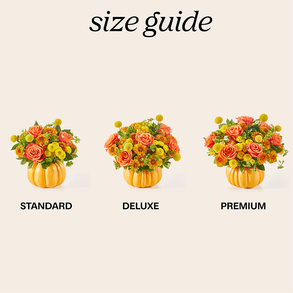 Gourdgeous Pumpkin –  Maison Des Fleurs Blossome Inc, Lachine PQ
