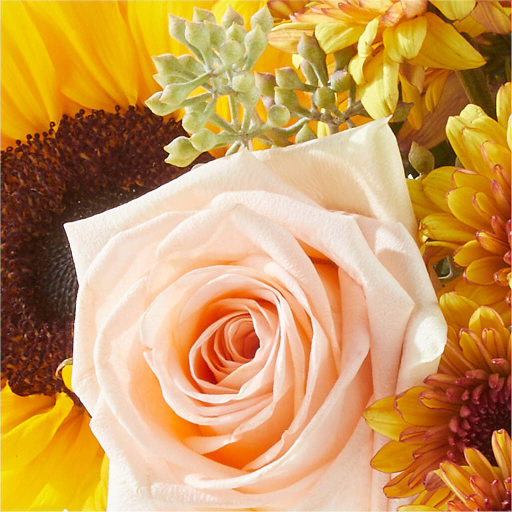 Pumpkin to Talk About Bouquet –  Maison Des Fleurs Blossome Inc, Lachine PQ
