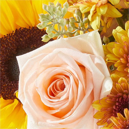 Pumpkin to Talk About Bouquet –  Maison Des Fleurs Blossome Inc, Lachine PQ