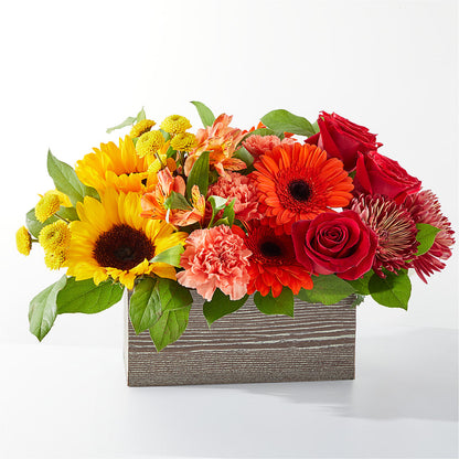 Autumn Orchard Bouquet – MAISON DES FLEUR BLOSSOME, Laval PQ