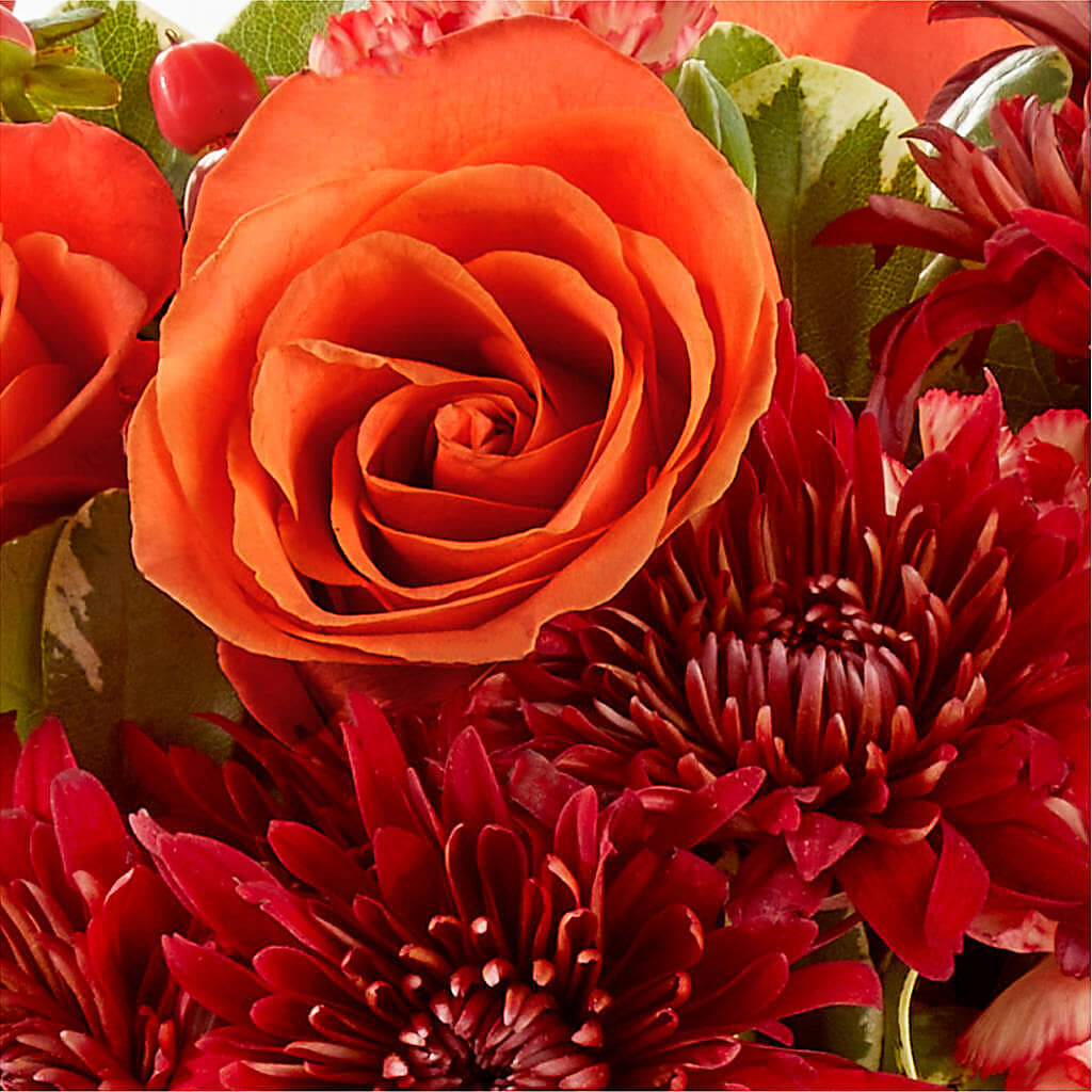 Autumn Air Pumpkin Bouquet –  Maison Des Fleurs Blossome Inc, Lachine PQ