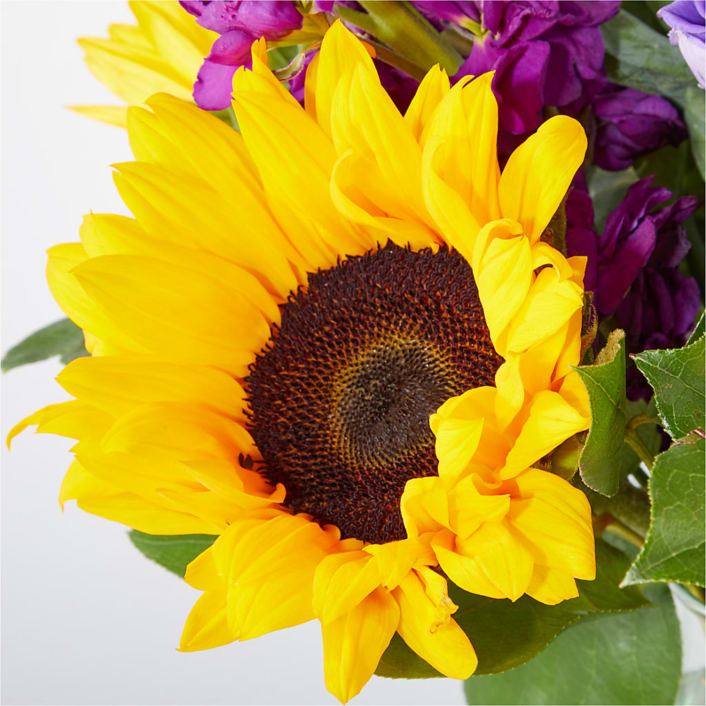 Catching Rays Bouquet –  Maison Des Fleurs Blossome Inc, Lachine PQ