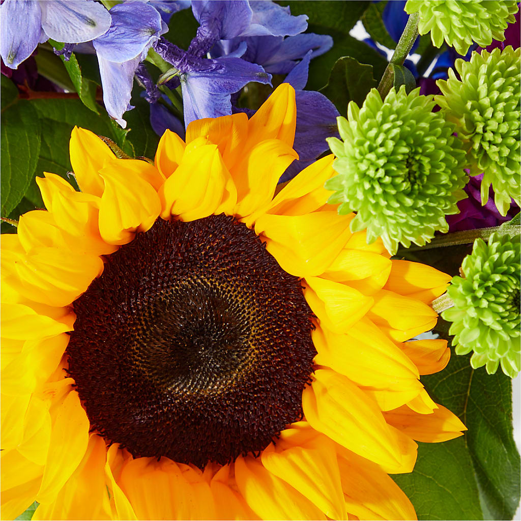 Catching Rays Bouquet –  Maison Des Fleurs Blossome Inc, Lachine PQ