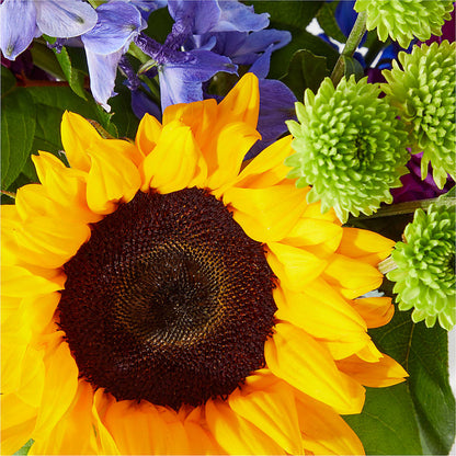 Catching Rays Bouquet –  Maison Des Fleurs Blossome Inc, Lachine PQ