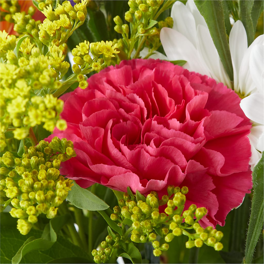 Oopsie Daisy Bouquet –  Maison Des Fleurs Blossome Inc, Lachine PQ