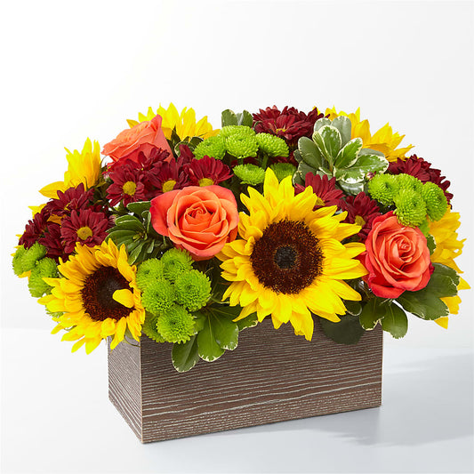 Happy Harvest Garden –  Maison Des Fleur Blossome, Laval PQ