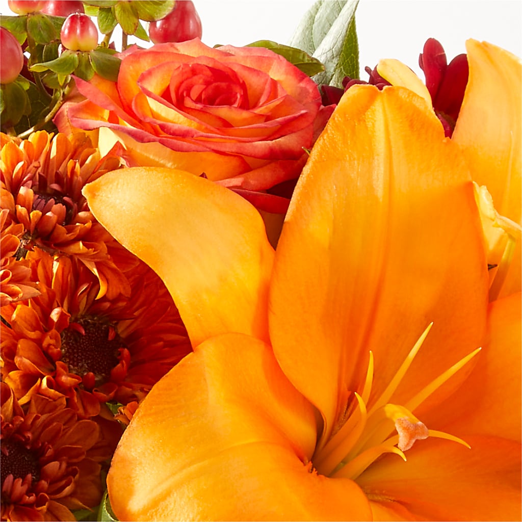 Backyard Bonfire Bouquet –  Maison Des Fleurs Blossome Inc, Lachine PQ
