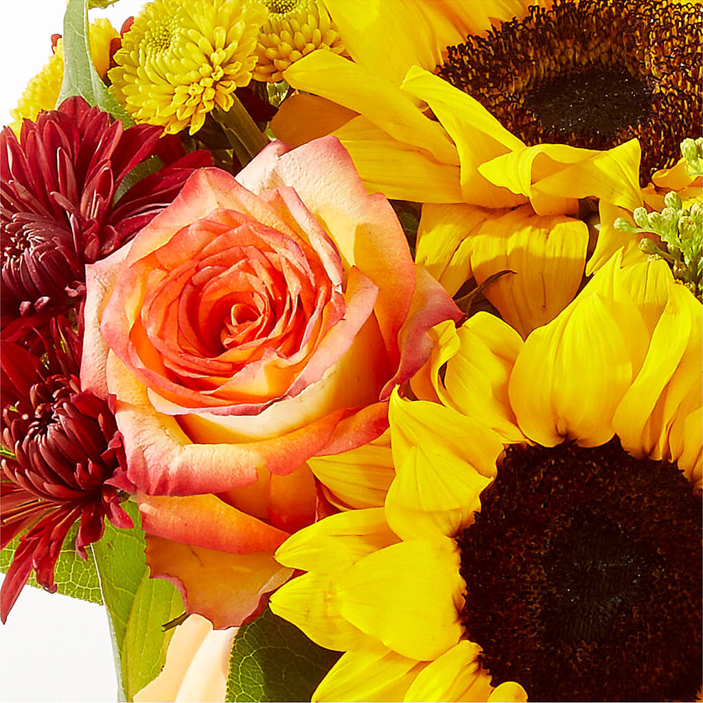 Golden Gourd Pumpkin Bouquet –  Maison Des Fleurs Blossome Inc, Lachine PQ