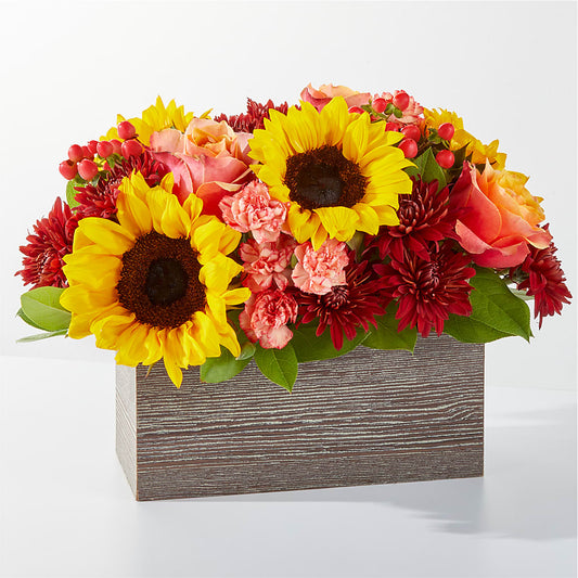 Fresh Cider Bouquet –  Maison Des Fleur Blossome, Laval PQ