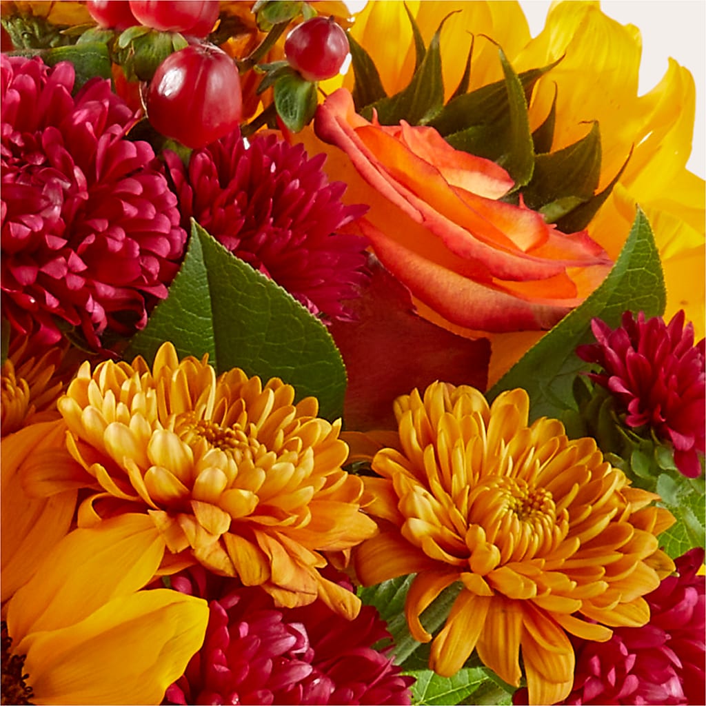Sweater Season - A Florist Original – MAISON DES FLEUR BLOSSOME, Laval PQ