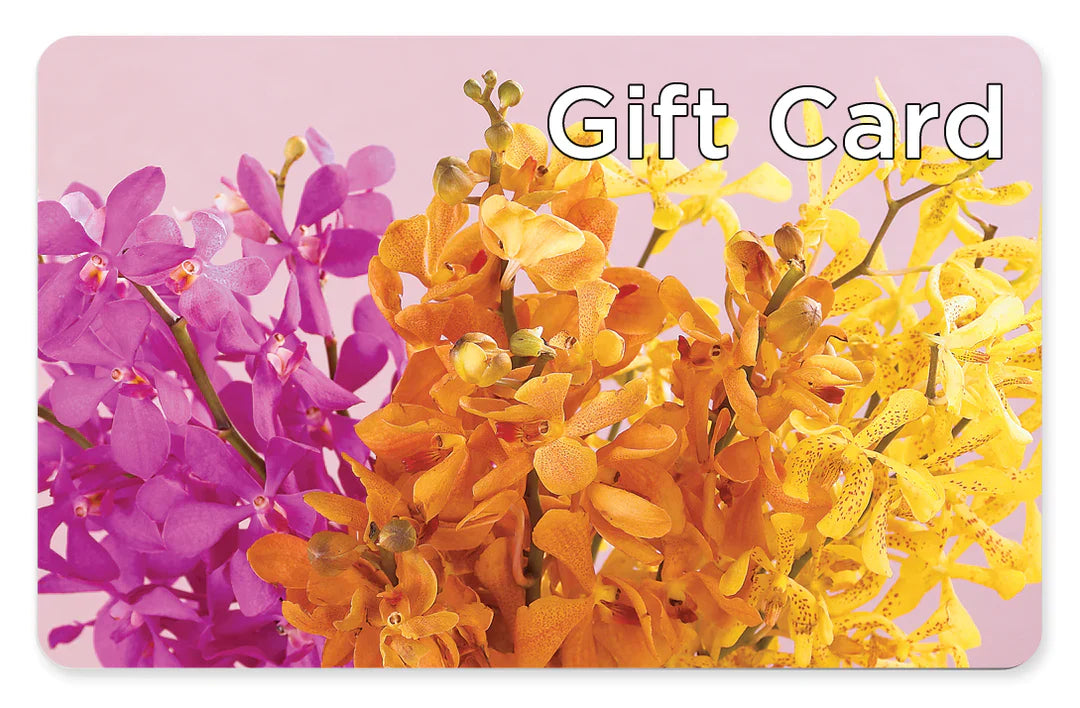 Gift Card –  Maison Des Fleur Blossome, Laval PQ