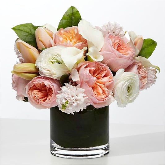 The Destiny –  Maison Des Fleur Blossome, Laval PQ