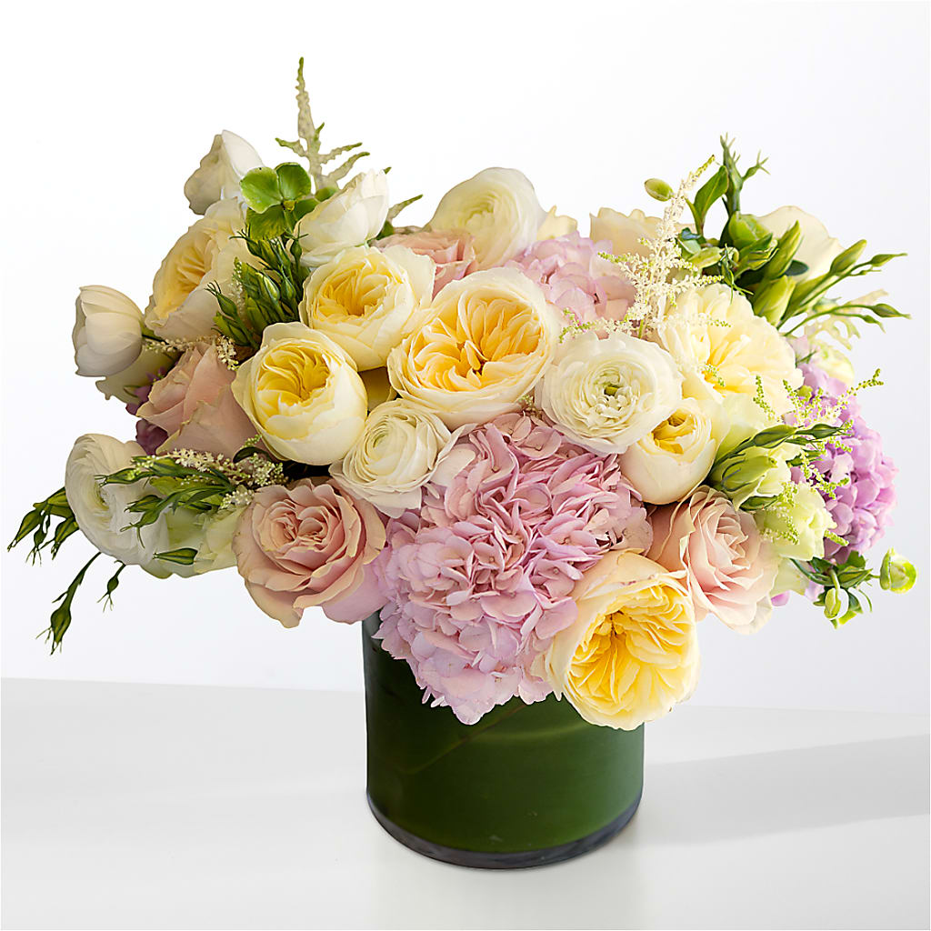 The Melody –  Maison Des Fleur Blossome, Laval PQ